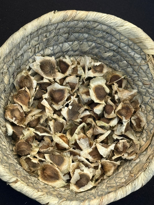 Moringa Seeds