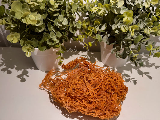 Golden Sea Moss