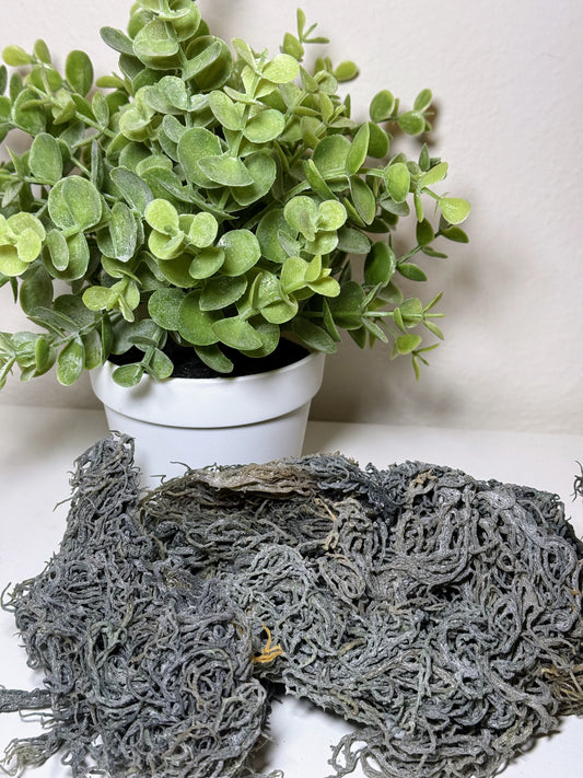 Green Sea Moss